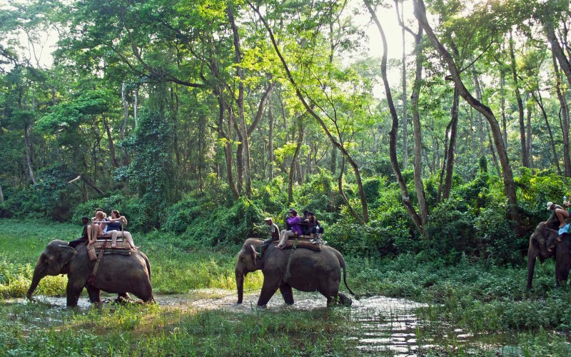 Kathmandu - Pokhara - Chitwan Tour