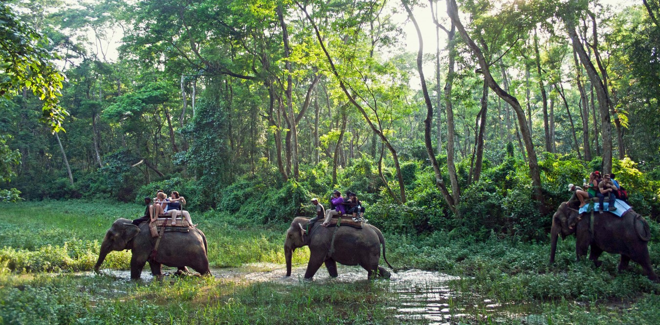 Kathmandu - Pokhara - Chitwan Tour